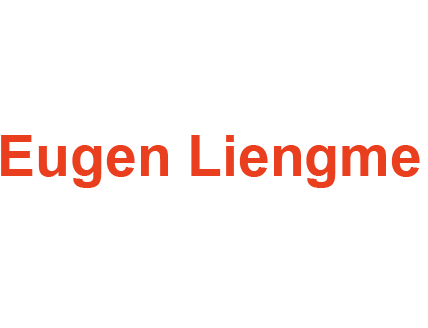 Eugen Liengme - Gemälde Installationen Zeichnungen